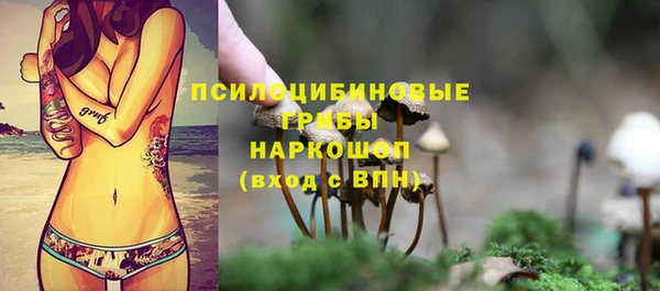 метадон Гусиноозёрск