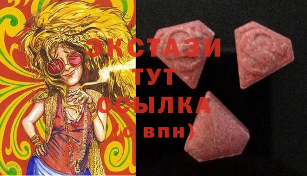 мдпв Гусь-Хрустальный