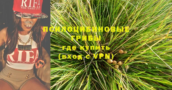 мдпв Гусь-Хрустальный