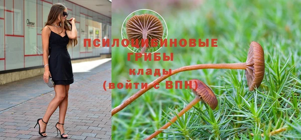 метадон Гусиноозёрск