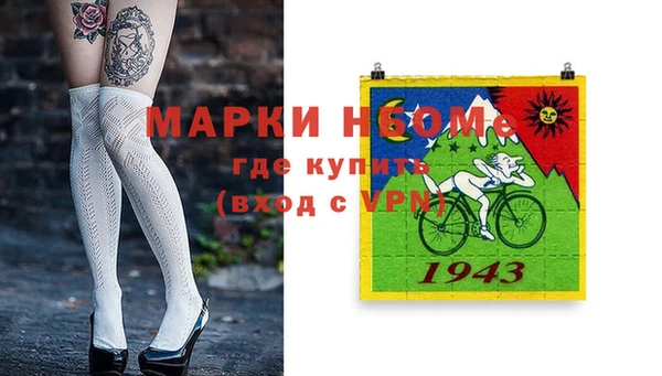 мдпв Гусь-Хрустальный