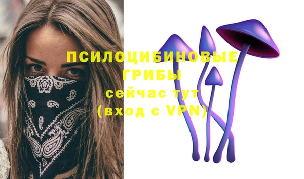 метадон Гусиноозёрск