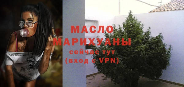 мдпв Гусь-Хрустальный