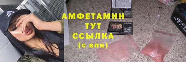 мдпв Гусь-Хрустальный