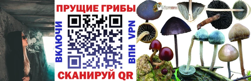 Купить где Макаров Галлюциногенные грибы MAGIC MUSHROOMS